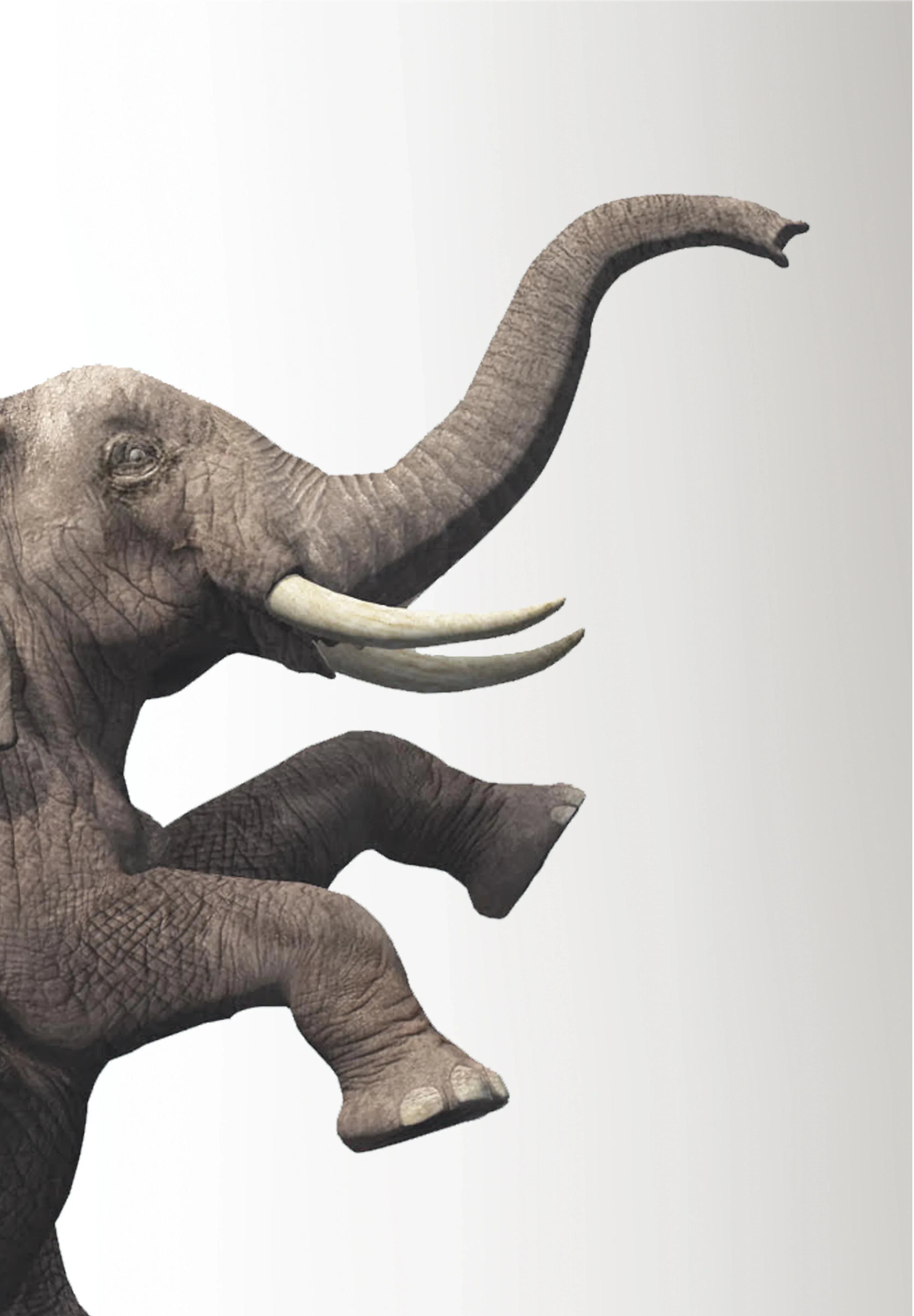 An artistic collage of an elephant standing on the T&B table, emphasizing the table's strength and stability.